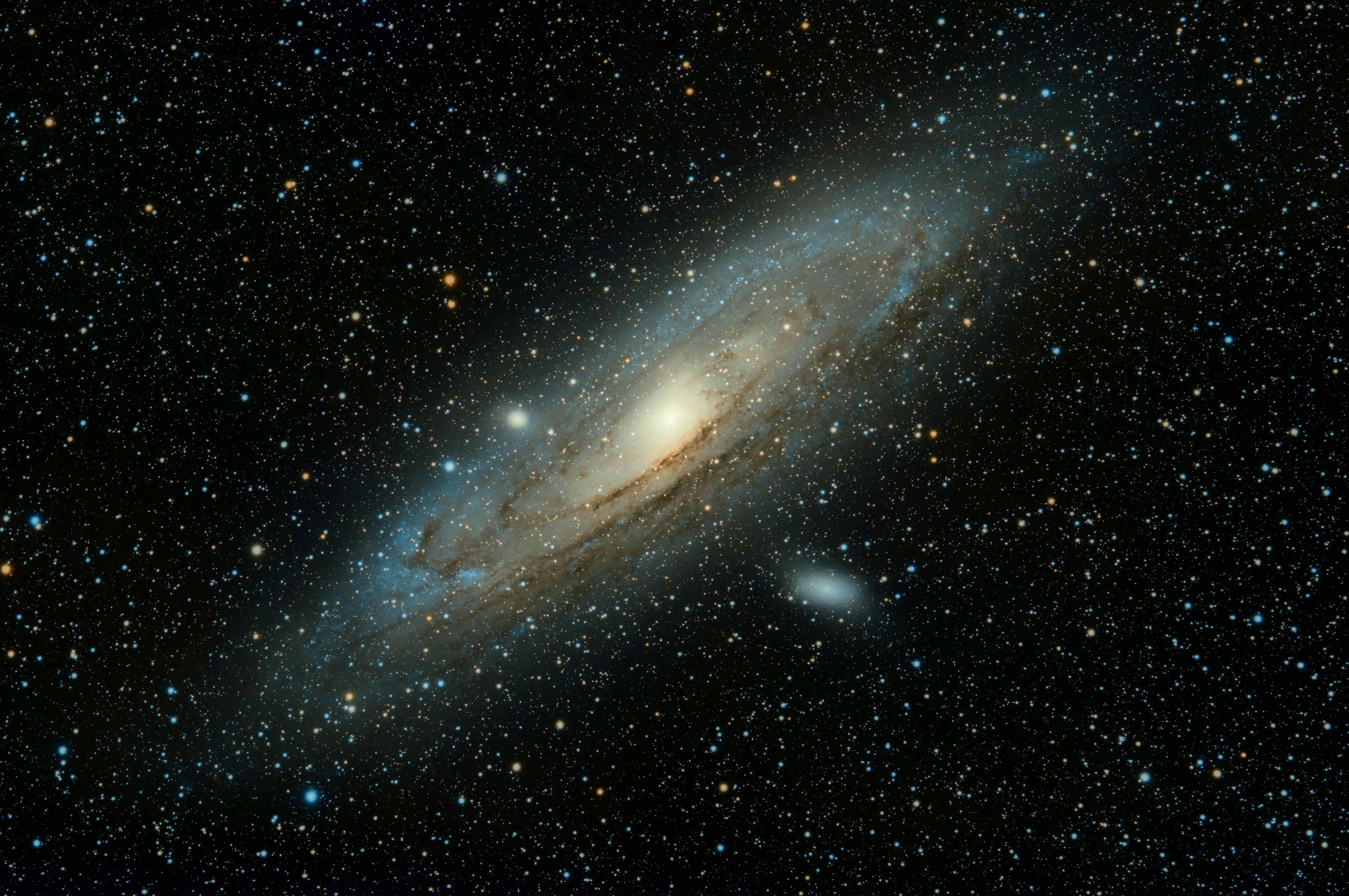 Black Hole Galaxy